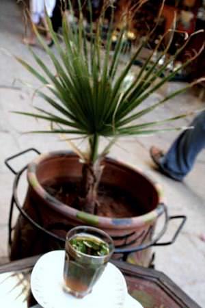 Morroco  
